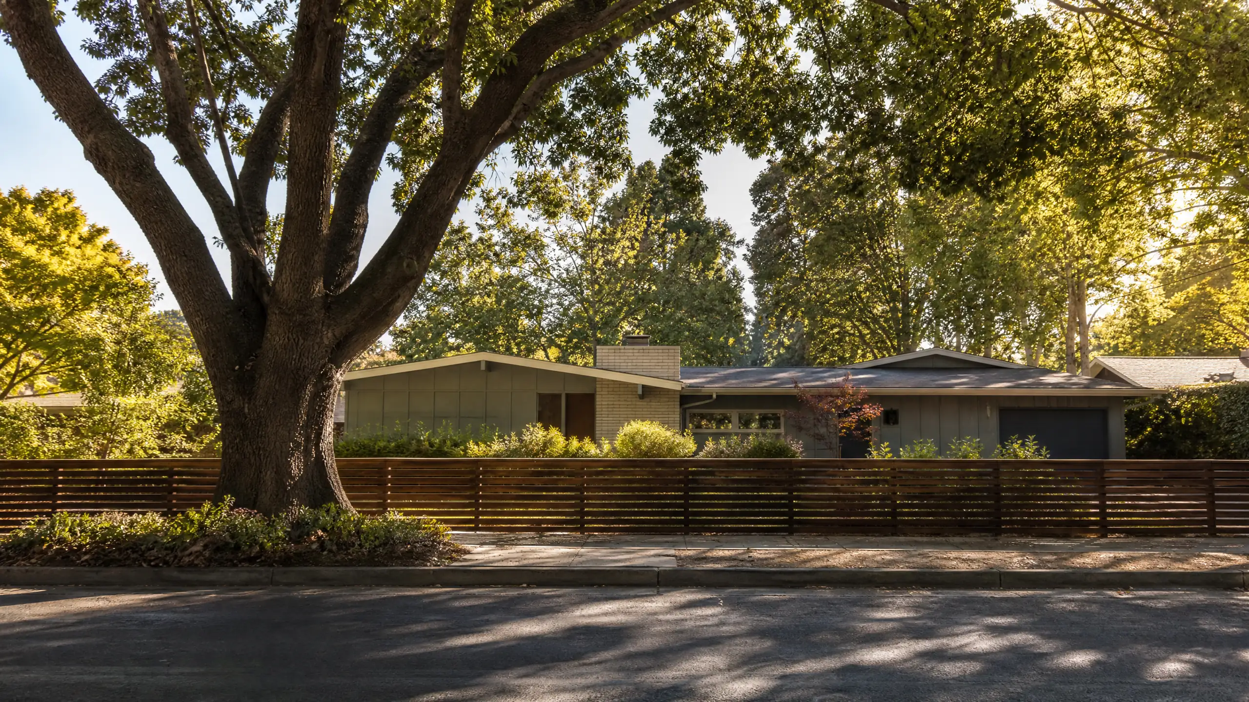 Quiet residential street of ranch homes under mature trees in the East Bay